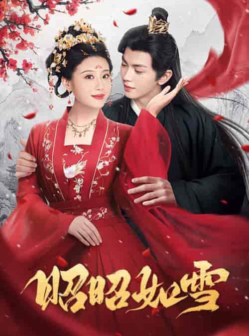 昭昭如雪（60集全）叶皓然＆于小婉儿-搜外项目网