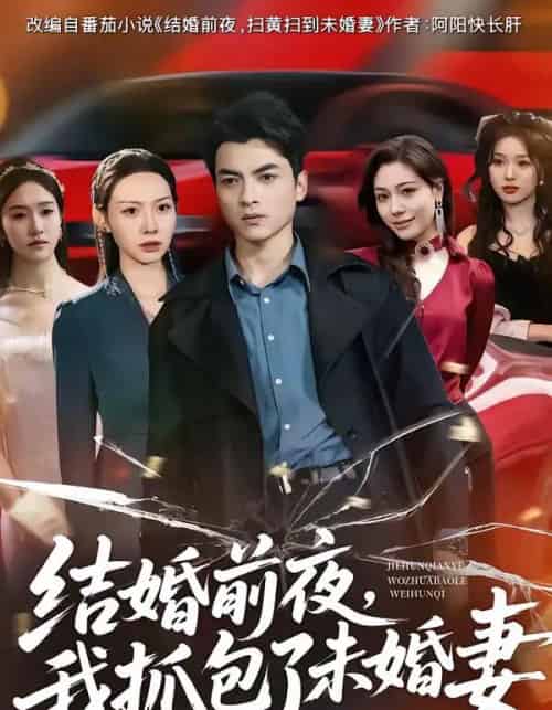 结婚前夜，我抓包了未婚妻（80集全）朱宣甫＆赵维怡-搜外项目网
