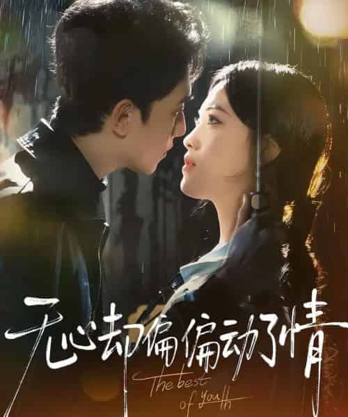 无心却偏偏动了情（80集全）韦若辰＆江炘-搜外项目网