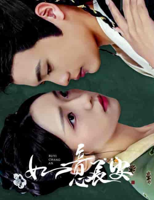 如意长安（60集全）彩彩云-搜外项目网