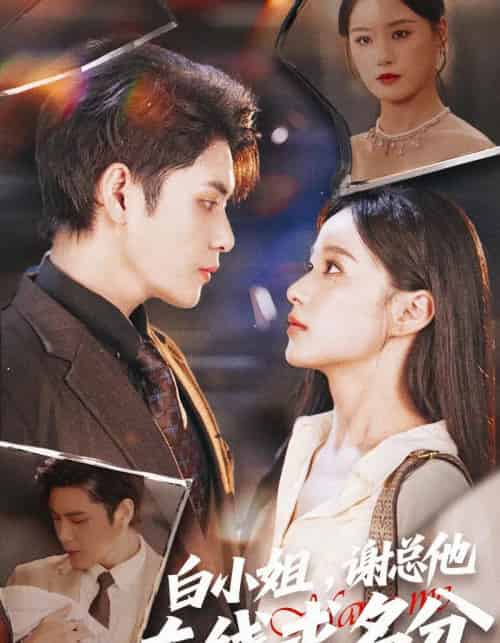 白小姐,谢总他在线求名分(56集全)张志伟&王宇婧-搜外项目网