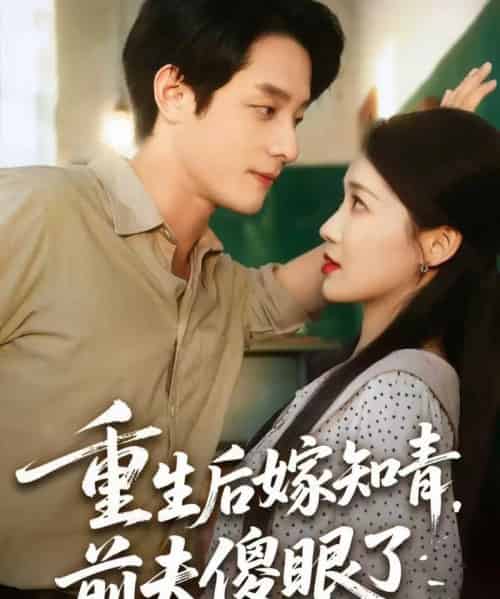 重生后嫁知青前夫傻眼了（75集）段平＆戴凤仪-搜外项目网