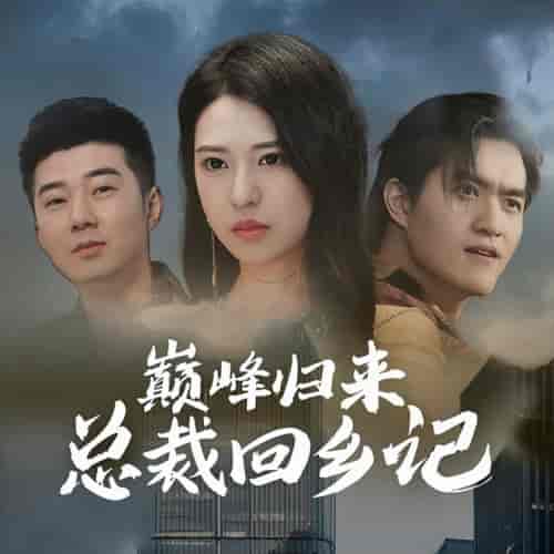 巅峰归来总裁回乡记（98集）胡家荣-搜外项目网