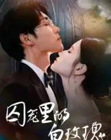 囚笼里的白玫瑰（59集全）李明轩-搜外项目网