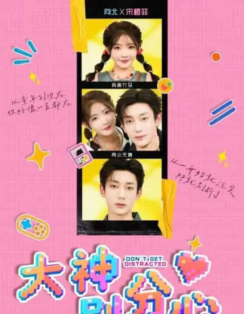 大神别分心（70集全）鹿单东＆杨伊墨-搜外项目网