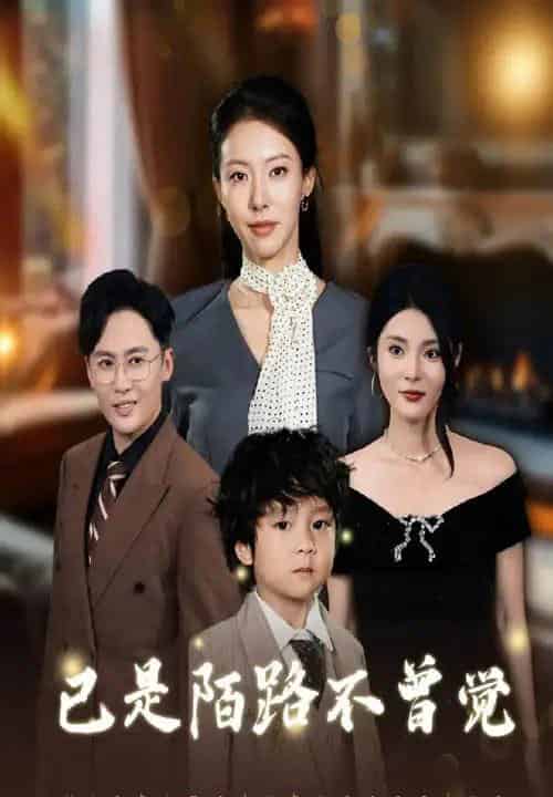 已是陌路不曾觉（55集全）曹楠＆苏嘉欣-搜外项目网