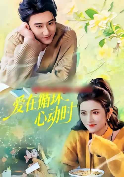 爱在循环心动时（60集全）赵振栋＆卢鹿鹿-搜外项目网
