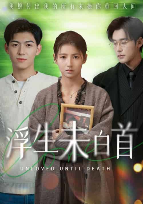 浮生未白首（50集全）张力壬＆王槿-搜外项目网