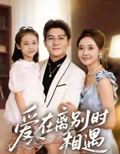 爱在离别时相遇（60集全）刘琪＆朱元政＆桂羽灿-搜外项目网