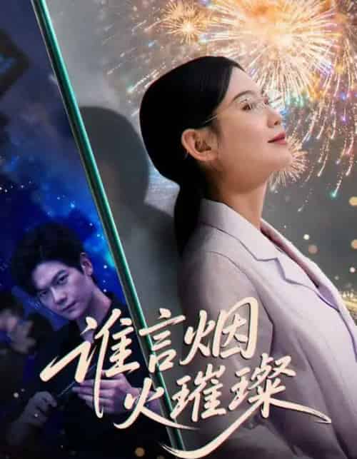 谁言烟火璀璨（61集全）刘瀚阳＆赵珞姿-搜外项目网