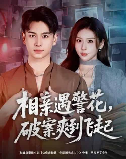 相亲遇警花，破案爽到飞起（80集全）夏梦＆范高坡-搜外项目网