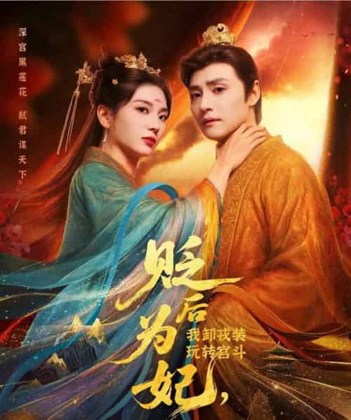 贬后为妃我卸戎装玩转宫斗（79集）强宇＆张炣艾-搜外项目网
