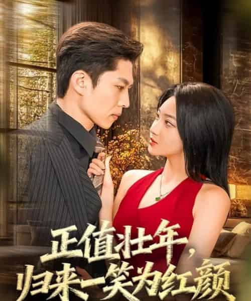 正值壮年，归来一笑为红颜（75集全）孙思凡＆杨梓依-搜外项目网