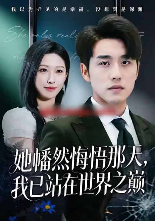 她幡然悔悟那天，我已站在世界之巅（61集全）张宇翔＆秦玺-搜外项目网