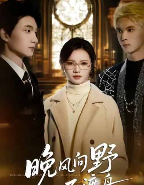 晚风向野不渡舟（60集全）丁紫嫣＆李昊成-搜外项目网