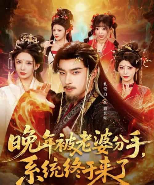 晚年被老婆分手,系统终于来了(80集全)孔奇力&李若希&袁颖-搜外项目网