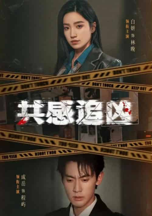 共感追凶＆我用痛觉锁定杀手（60集全）白妍＆成岳-搜外项目网