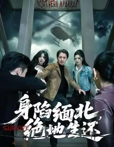 身陷缅北，绝地生还（70集全）孙梦涵＆吴文璟-搜外项目网