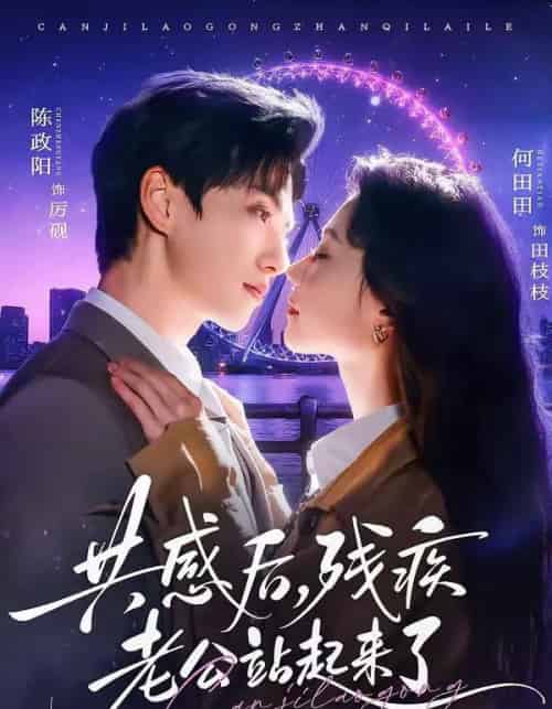 共感后，残疾老公站起来了（68集全）陈政阳＆何田田-搜外项目网