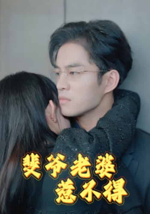 斐爷老婆惹不得（94集全）裴景行＆江来-搜外项目网