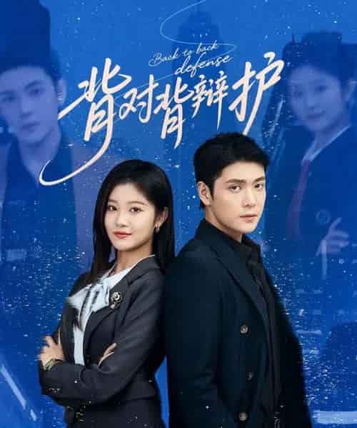 背对背辩护(58集)张志伟&刘盈-搜外项目网