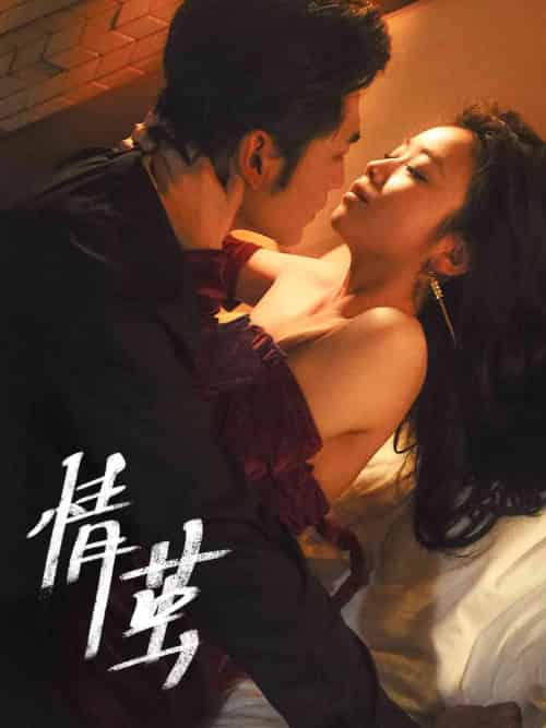 情茧（60集全）周航＆雷馥缦-搜外项目网