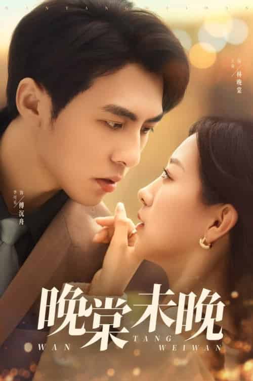 晚棠未晚(60集全)王倩&李可乐-搜外项目网
