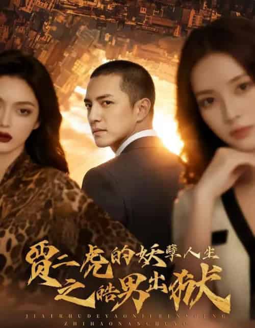 贾二虎的妖孽人生之皓男出狱（75集全）AI-搜外项目网