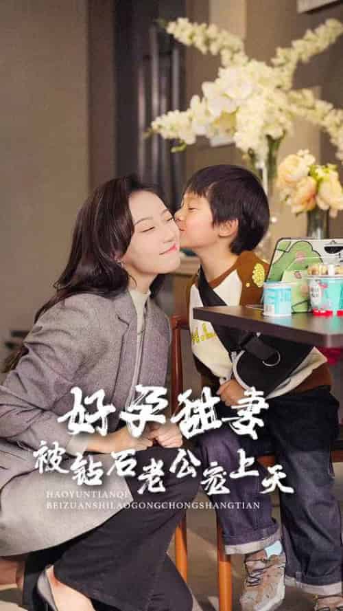 好孕甜妻被钻石老公宠上天(80集全)王朝阳&詹妮-搜外项目网