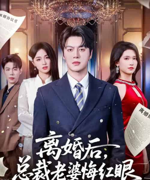 离婚后，总裁老婆悔红眼（61集全）唐幕佳＆徐扬灏-搜外项目网