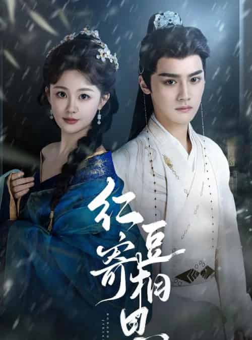 红豆寄相思（80集）储子竣＆陈芳彤-搜外项目网