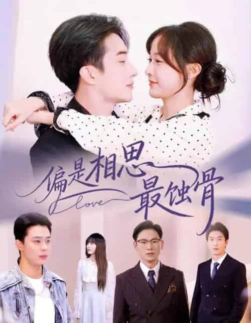 偏是相思最蚀骨&烬爱无归处(70集全)叶庭&白野-搜外项目网