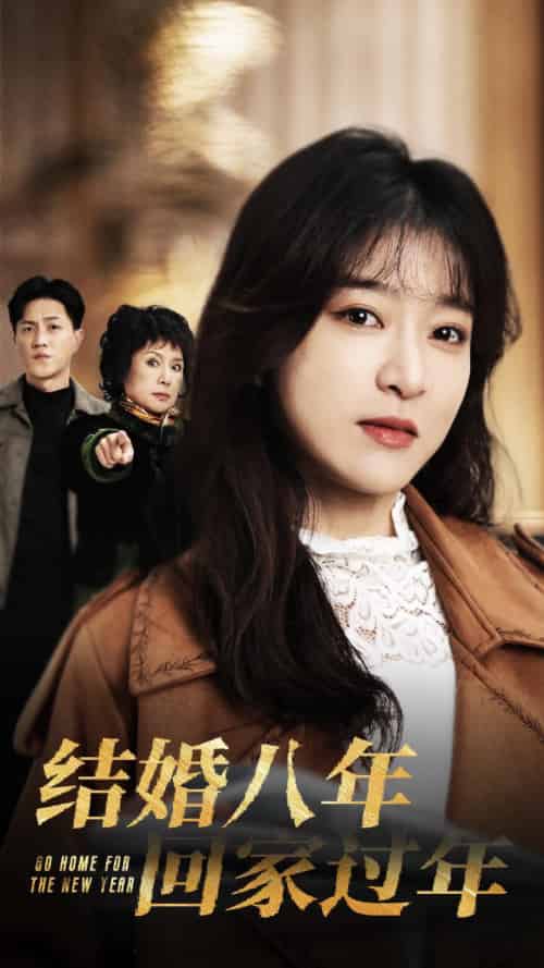 结婚八年回家过年（30集全）-搜外项目网