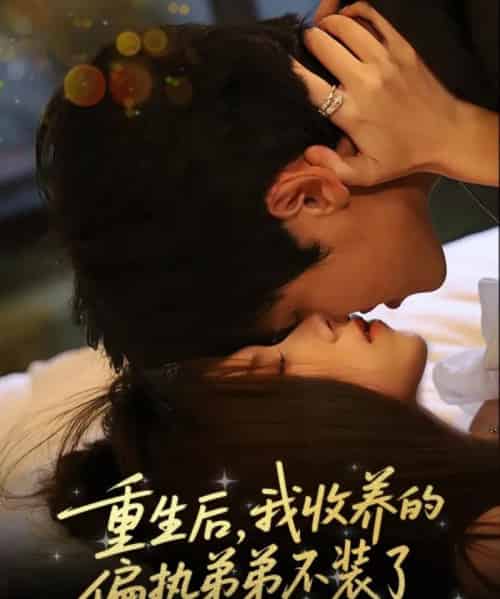 重生后我收养的偏执弟弟不装了（50集）刘耀元＆周千筱-搜外项目网