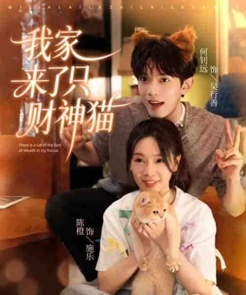 我家来了只财神猫（80集全）何钊远＆陈橙-搜外项目网