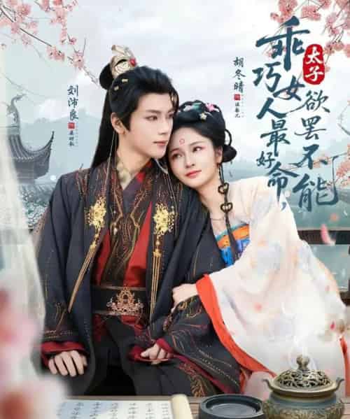 乖巧女人最好命,太子欲罢不能(80集全)刘沛良&胡冬晴-搜外项目网