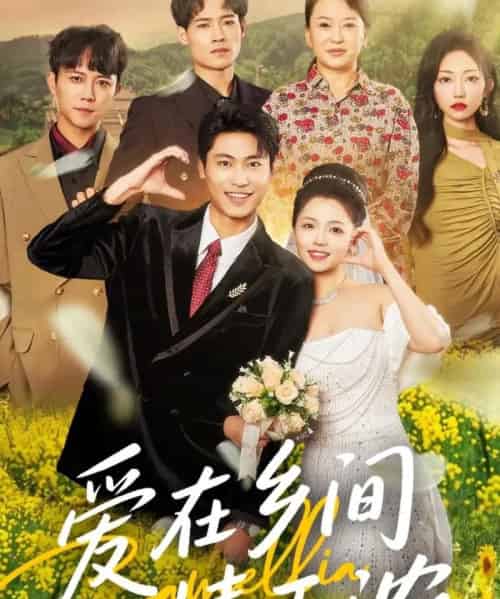 爱在乡间情正浓(62集)刘雨昊&付予-搜外项目网