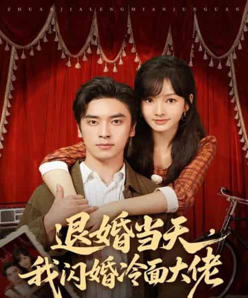 退婚当天,我闪婚冷面大佬&换个老公,三年抱俩真香(86集全)王博&王子怡-搜外项目网