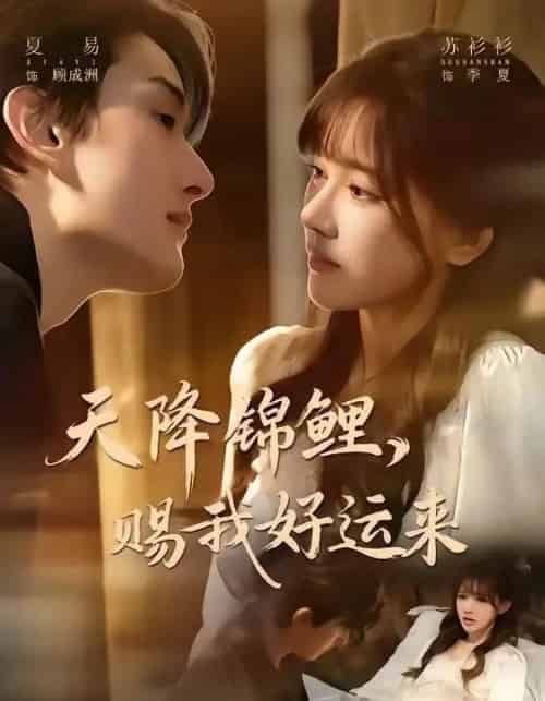 天降锦鲤，赐我好运来（60集全）夏易＆苏衫衫-搜外项目网