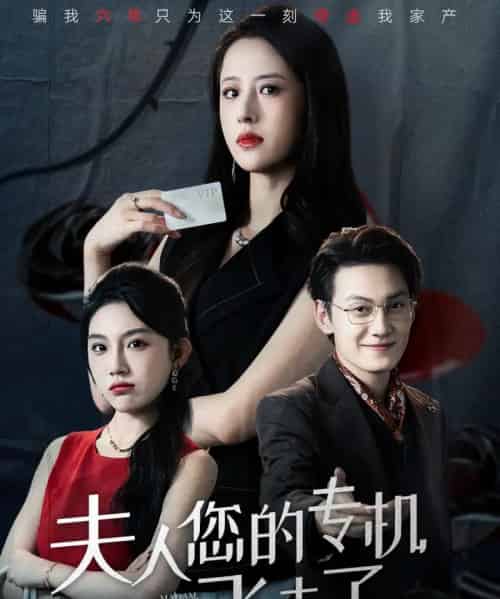 夫人您的专机飞走了(62集全)王婧琦&陈泓龙-搜外项目网