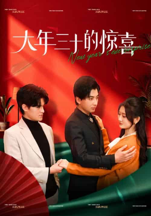 大年三十的惊喜(47集)杨珊子-搜外项目网