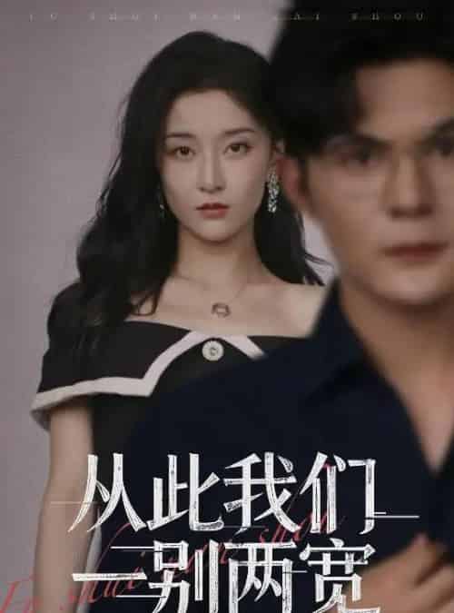 从此我们一别两宽 （60集全） 李珈童＆祈乐-搜外项目网