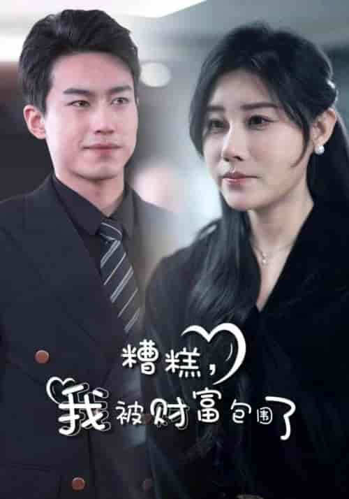 糟糕，我被财富包围了（59集全）江辰＆杨雪-搜外项目网