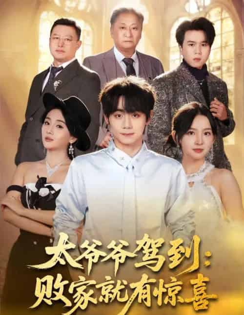 太爷爷驾到：败家就有惊喜（80集全）钟政＆张婉悦-搜外项目网