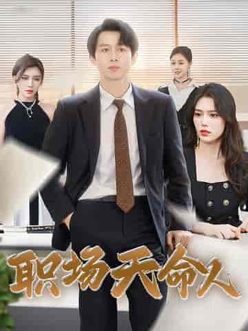 职场天命人（76集全）浩子-搜外项目网