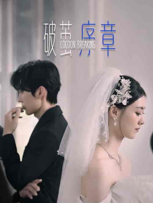 破茧序章(64集全)王译磊&赵夕汐-搜外项目网