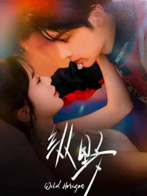 纵野（60集全）王子林＆金雅娜-搜外项目网