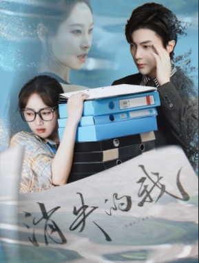 消失的我(60集全)海依凡&刘兰博-搜外项目网