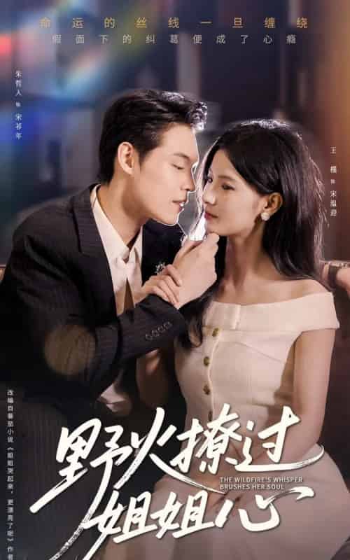 野火撩过姐姐心(97集)朱哲人&王槿-搜外项目网