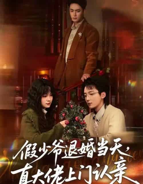 假少爷退婚当天，真大佬上门认亲（50集全）刘海燕＆周宇航-搜外项目网